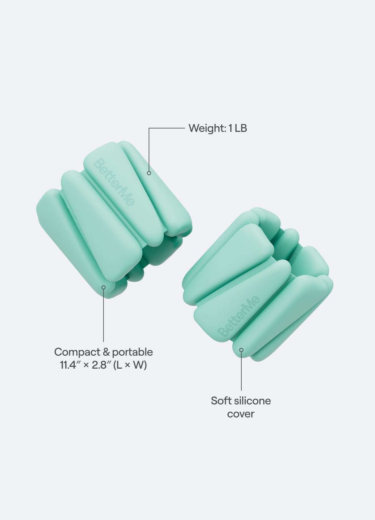 Adjustable Weight Bands - Image 2